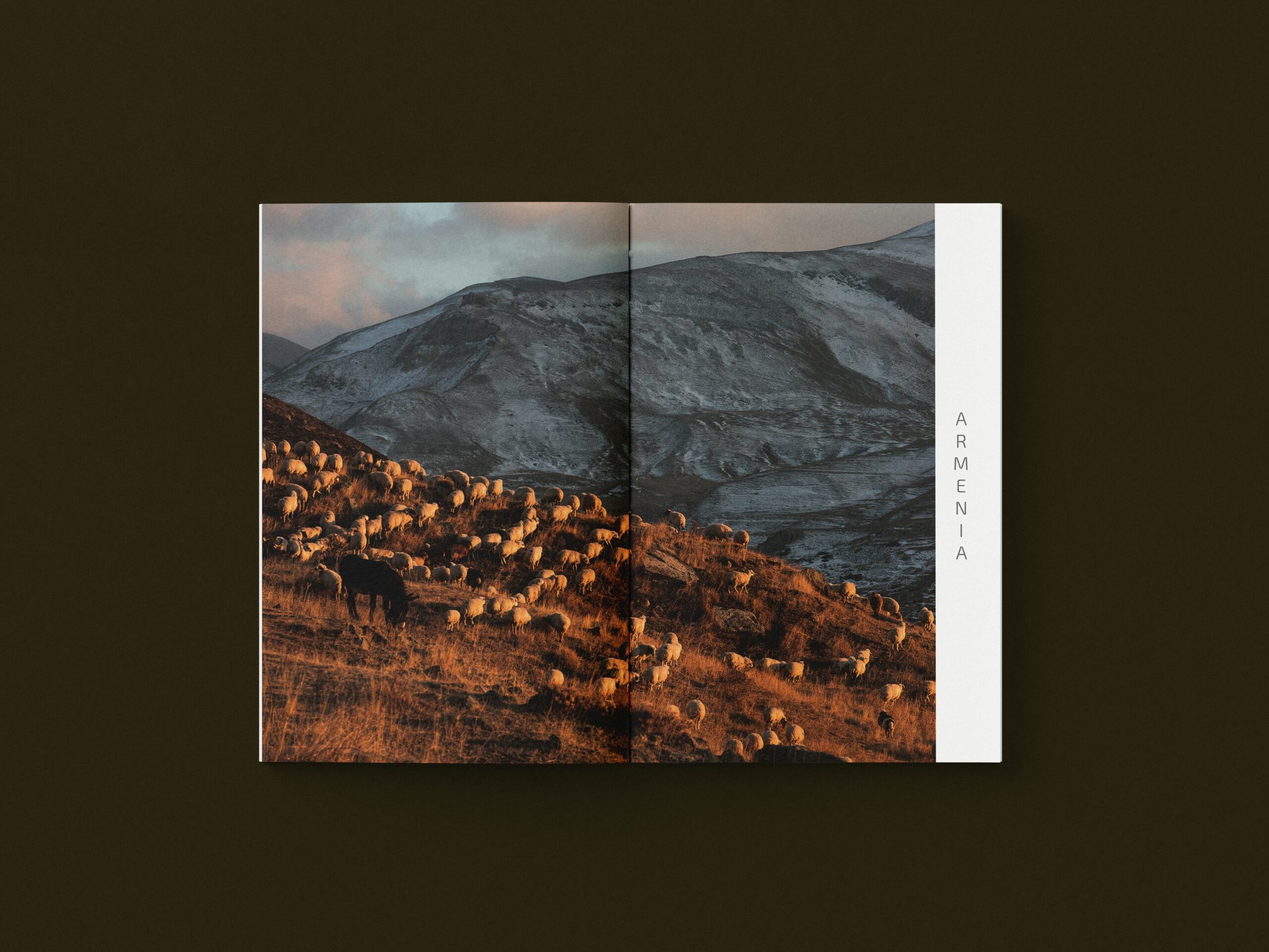 Ścieżki za Kaukazem. Gruzja, Armenia, Turcja - obrazek 2